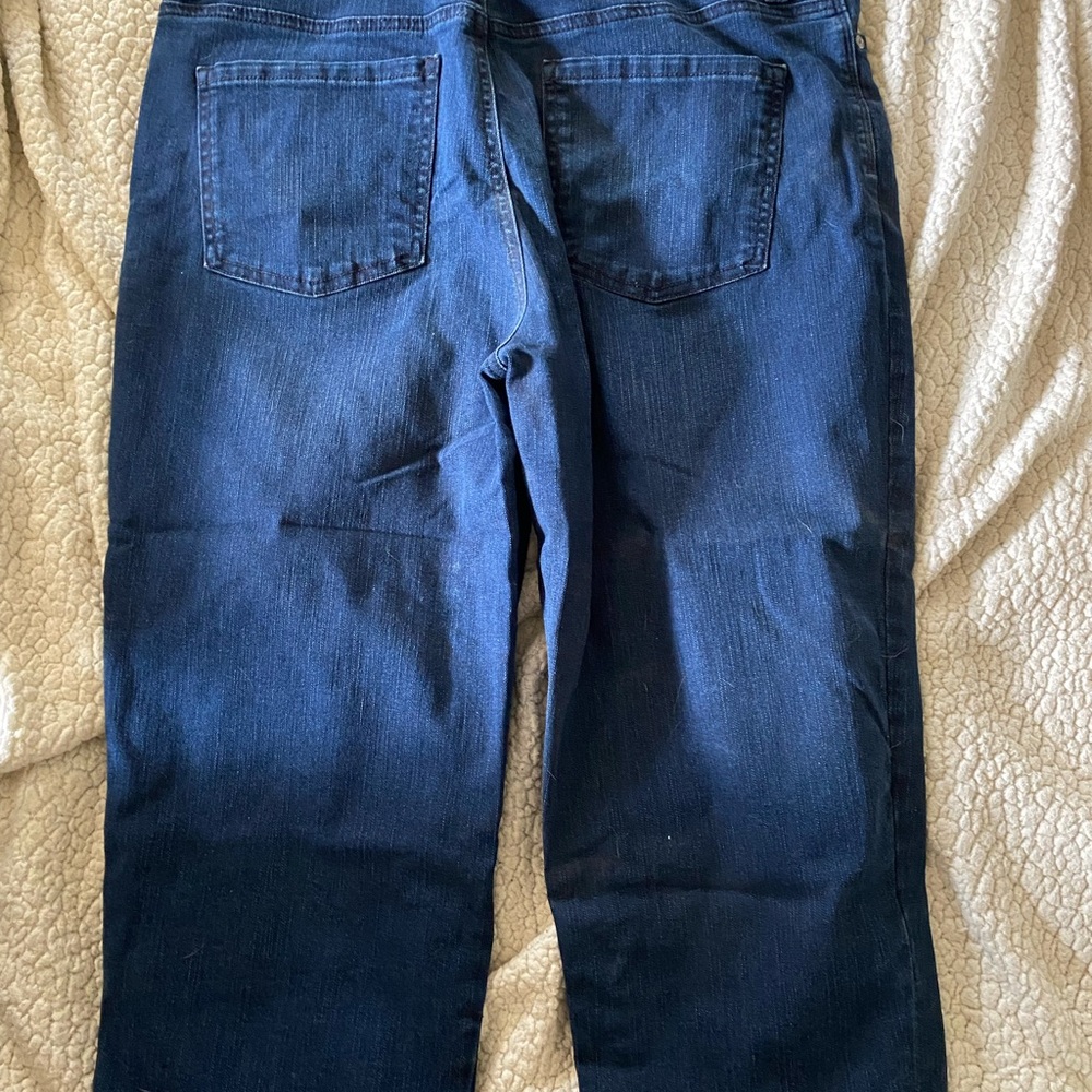 Gloria Vanderbilt Dark Blue Capris